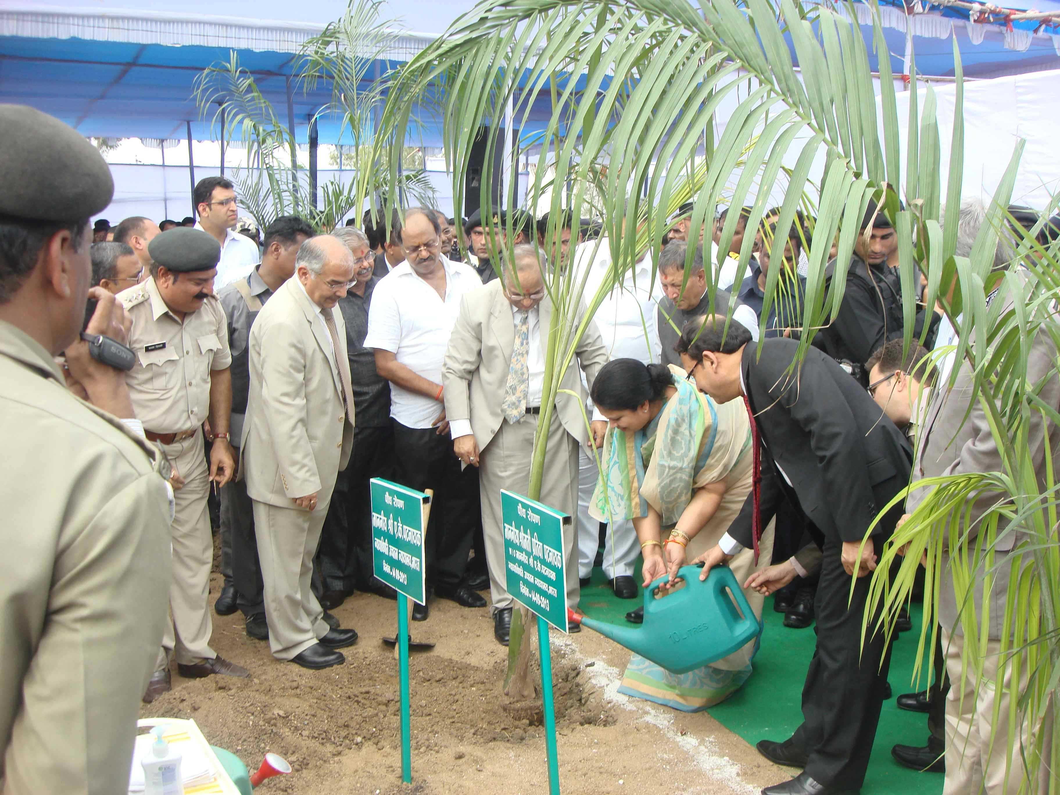 Plantation by Guests