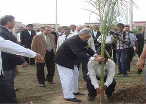 Plantation by Judges